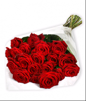 The Surpriser Flowers