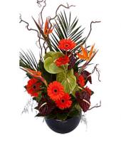 Spring Fusion Gifts toGanga Nagar, Flowers to Ganga Nagar same day delivery