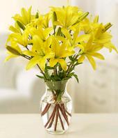 Sunshine Gifts toBrigade Road, sparsh flowers to Brigade Road same day delivery