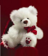 Cute Teddy Bear Gifts toDelhi, teddy to Delhi same day delivery