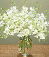 Pure Love Gifts toBanaswadi, sparsh flowers to Banaswadi same day delivery