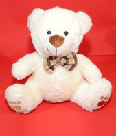 Fluffy White Soft Toy Gifts toBenson Town, teddy to Benson Town same day delivery