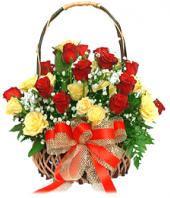 24 Yellow and Red Roses Gifts toCox Town, sparsh flowers to Cox Town same day delivery