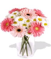 Fondest Affections Gifts toCottonpet, sparsh flowers to Cottonpet same day delivery