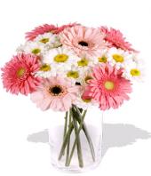 Fondest Affections Gifts toHBR Layout, flowers to HBR Layout same day delivery