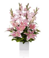 Blushing Beauty Gifts toCottonpet, sparsh flowers to Cottonpet same day delivery