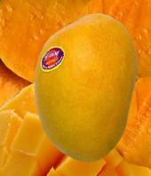 Premium Alphonso Mangoes 12pcs