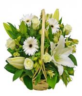 Elegant Love Gifts toPuruswalkam, flowers to Puruswalkam same day delivery