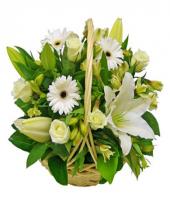 Elegant Love Gifts toMylapore, flowers to Mylapore same day delivery