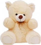 2 Feet Teddy Bear Gifts toCox Town, teddy to Cox Town same day delivery