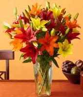 Colour Fiesta Gifts toTeynampet, sparsh flowers to Teynampet same day delivery