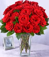 24 Red Roses Gifts toBrigade Road, sparsh flowers to Brigade Road same day delivery