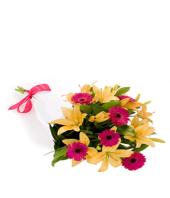 One love Gifts toCottonpet, sparsh flowers to Cottonpet same day delivery