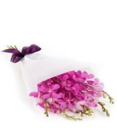 Orchid extravagance Gifts toTeynampet, sparsh flowers to Teynampet same day delivery