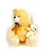 Pair Teddy Gifts toBangalore, teddy to Bangalore same day delivery