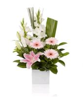 Pink Purity Gifts toIgatpuri, flowers to Igatpuri same day delivery