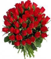 Reds and Roses Gifts toHAL, sparsh flowers to HAL same day delivery