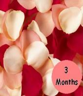 3 Months of Flowers Gifts toHyderabad, flowers to Hyderabad same day delivery