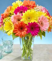 Colourful Surpriser Gifts toBrigade Road, sparsh flowers to Brigade Road same day delivery