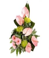 Fantasia Gifts toElectronics City, sparsh flowers to Electronics City same day delivery
