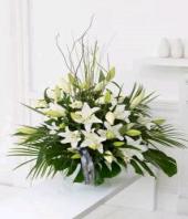 Heavenly White Gifts toBanaswadi, sparsh flowers to Banaswadi same day delivery