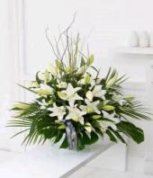 Heavenly White Gifts toBrigade Road, sparsh flowers to Brigade Road same day delivery