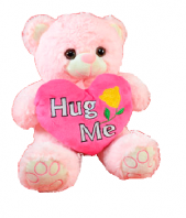 Hug Me Teddy Gifts toAshok Nagar, teddy to Ashok Nagar same day delivery