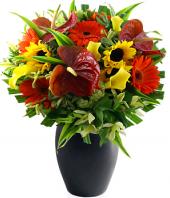 Seasons Best Gifts toHAL, sparsh flowers to HAL same day delivery