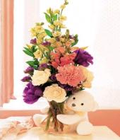 Supreme Dream Gifts toCooke Town, sparsh flowers to Cooke Town same day delivery