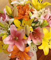 Colourful Bliss Gifts toDomlur, sparsh flowers to Domlur same day delivery