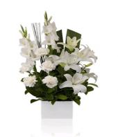 Casablanca Gifts toLalbagh, sparsh flowers to Lalbagh same day delivery
