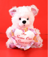 For Someone Special Teddy Gifts toAmbad, teddy to Ambad same day delivery