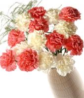 Pink and White Carnations Gifts toJayamahal, flowers to Jayamahal same day delivery