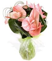 Pink Paradise Gifts toHAL, sparsh flowers to HAL same day delivery